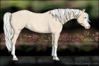 Horse Color:Silver Perlino Roan Splash