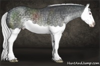 Horse Color:Silver Black Chinchilla Splash 