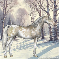 Horse Color:White Spotted Liver Red Dun Mushroom Splash 