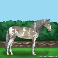 Horse Color:White Spotted Chocolate Palomino Mushroom