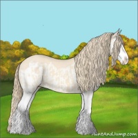 Horse Color:Perlino Splash  and Perlino Splash Frame 