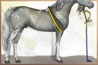 Horse Color:White Spotted Silver Grullo Chinchilla 