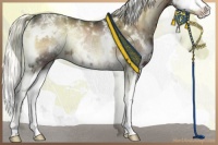 Horse Color:White Spotted Liver Red Onyx Ice Splash Rabicano 