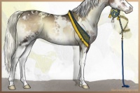 Horse Color:White Spotted Liver Red Onyx Mushroom Sabino Splash