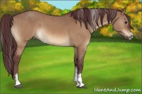 Horse Color:Chocolate Bay Dun Sabino Brindle 
