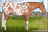 Horse Color:Silver Bay Blanket Rabicano 