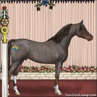 Horse Color:Liver Red Roan 