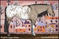 Horse Color:Brown Dun Appaloosa 