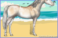 Horse Color:Gray White Spotted Silver Sable Champagne Pearl Onyx Sabino 