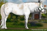 Horse Color:Cremello Sabino  and Perlino Sabino 