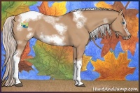 Horse Color:Silver Bay Dun Sabino Tobiano Frame Rabicano 