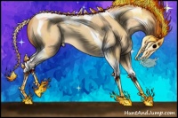 Horse Color:Silver Amber Champagne Dun Splash Tobiano Rabicano 