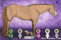 Horse Color:Gray Cremello Mushroom Splash  and Gray Perlino Mushroom Splash