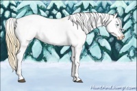 Horse Color:Buckskin Pearl Sabino Splash 