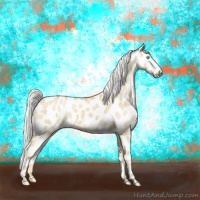 Horse Color:Silver Perlino Dun Appaloosa Brindle 