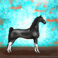 Horse Color:Gray Black Tobiano 