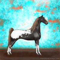 Horse Color:Liver Chestnut Tobiano Appaloosa