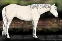 Horse Color:Cremello Roan Splash  and Cremello Roan Splash 