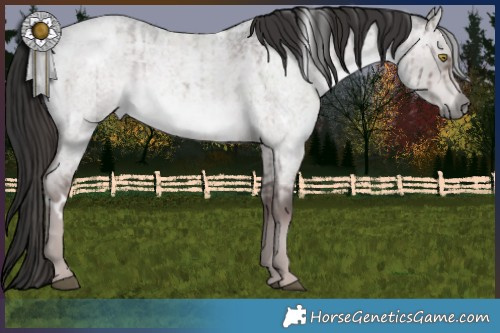 Horse Color:Platinum White Spotted Liver Red Dun Roan Brindle 