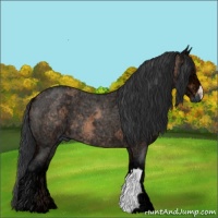 Horse Color:Brown Ice Roan 