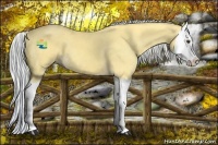 Horse Color:Painted Palomino Splash