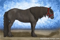 Horse Color:Smoky Black  and Smoky Black 