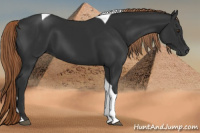 Horse Color:Gray Liver Chestnut Tobiano