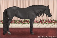 Horse Color:Platinum Smoky Black  and Platinum Smoky Black 