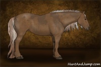 Horse Color:Silver Smoky Black  and Chocolate Palomino 