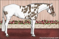 Horse Color:Liver Red Dun Mushroom Near Leopard Brindle  and Liver Red Dun Mushroom Near Leopard Brindle 