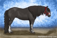 Horse Color:Smoky Black and Smoky Black