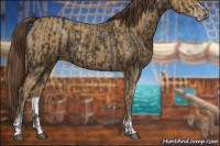 Horse Color:Smoky Black  and Classic Cream Champagne 