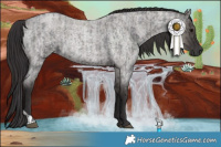 Horse Color:Smoky Blue Roan and Smoky Grullo Roan