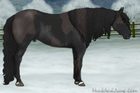 Horse Color:Smoky Black and Gray Smoky Black