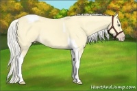 Horse Color:Silver Classic Cream Champagne Dun Tobiano Rabicano 