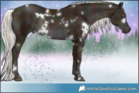 Horse Color:White Spotted Midnight Liver Chestnut Pearl Mushroom Rabicano 