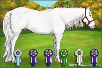 Horse Color:Cremello 