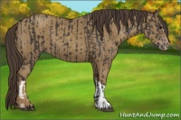 Horse Color:Smoky Black  and Classic Cream Champagne 