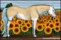 Horse Color:Painted Silver Buckskin Roan Dun Splash 