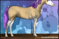 Horse Color:Painted Palomino Roan Splash