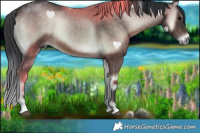 Horse Color:Brown Onyx Rabicano 