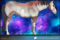 Horse Color:White Spotted Sable Champagne Onyx 