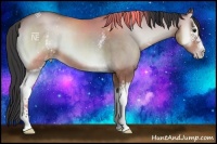 Horse Color:White Spotted Sable Champagne Onyx 