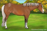 Horse Color:White Spotted Silver Bay Splash 
