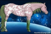 Horse Color:Watercolor Bay Dun Appaloosa 