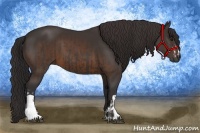 Horse Color:Smoky Black and Buckskin