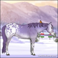 Horse Color:Watercolor Red Dun Onyx Sabino Appaloosa 