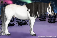 Horse Color:Gray White Spotted Bay Dun Splash and Gray White Spotted Bay Dun Splash
