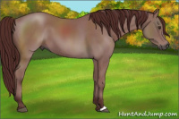 Horse Color:Gray Platinum Chocolate Brown 