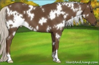 Horse Color:White Spotted Silver Smoky Black 